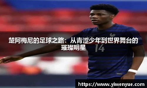 必一运动手机网页版登录